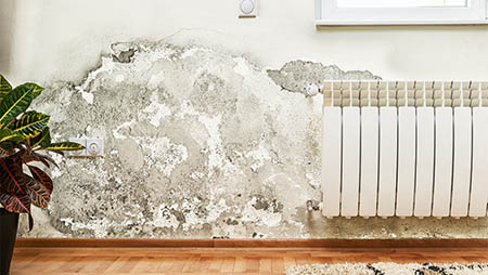 Como evitar mofo e umidade na parede?
