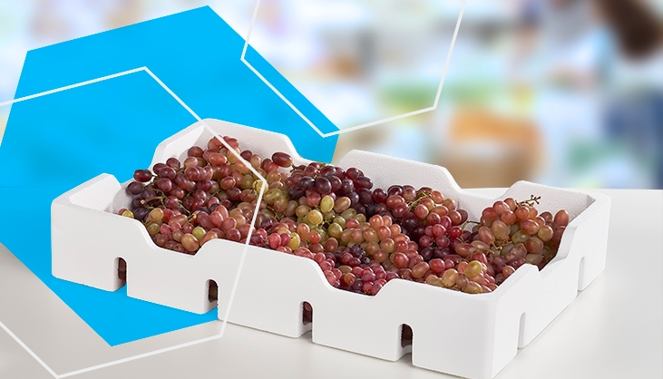 caixa para transporte de frutas