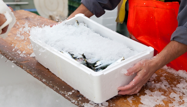 caixa para transporte de peixes