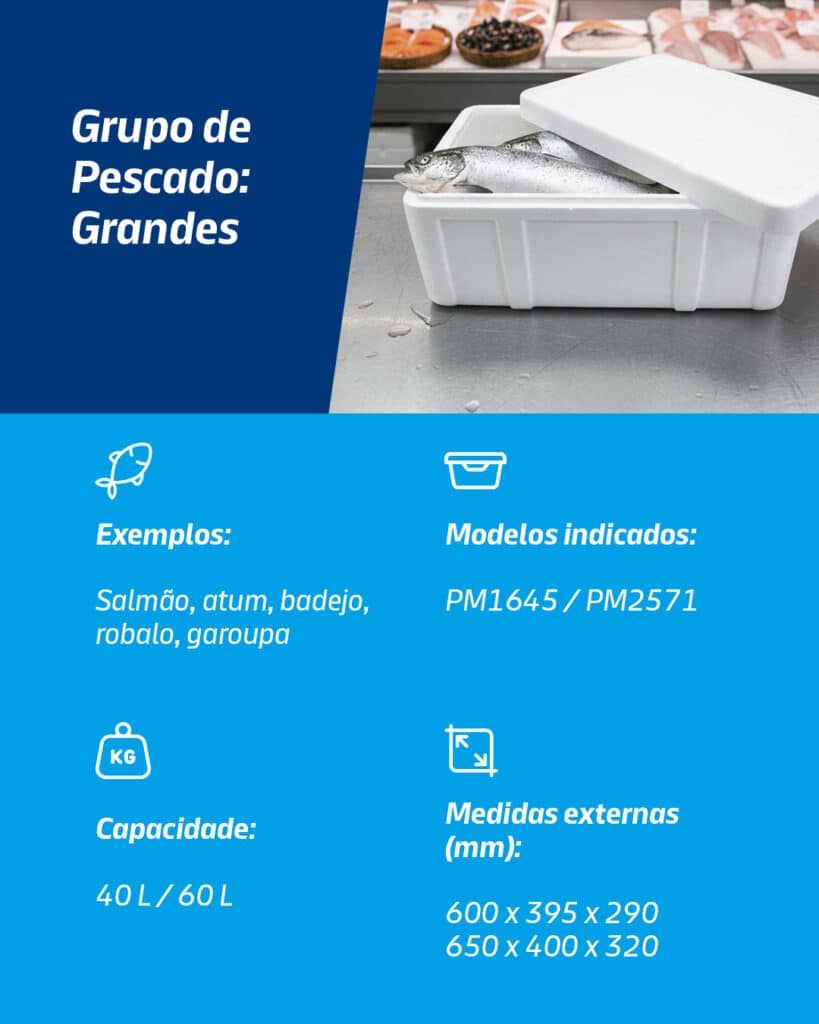 caixa térmica de EPS Isopor para peixe grande