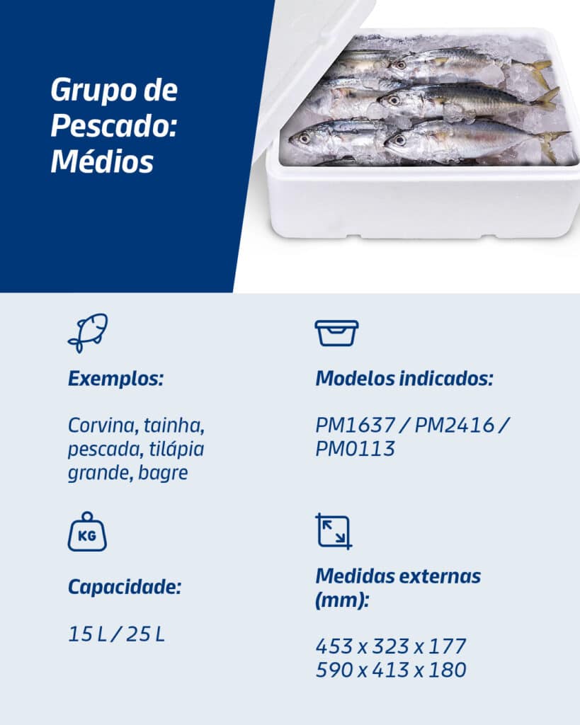 caixa térmica de EPS Isopor para peixe médio